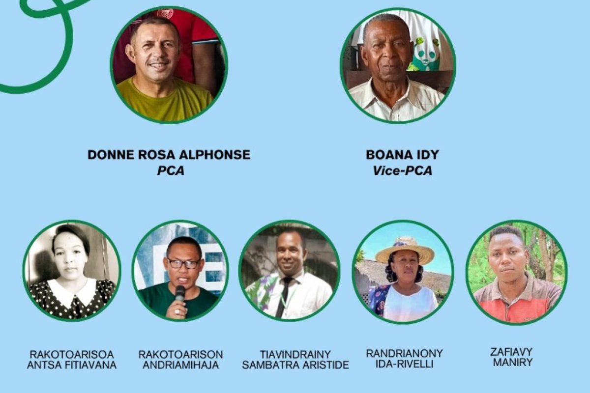 WhatsApp-Image-2024-11-26-at-14.35.00-1024x1024